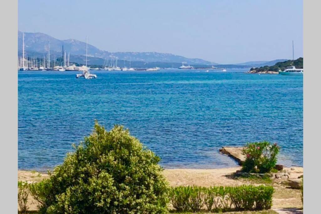 Villa Oleandri Porto Rotondo Buitenkant foto